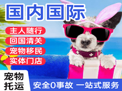 昆明空运代理国际宠物托运 【国